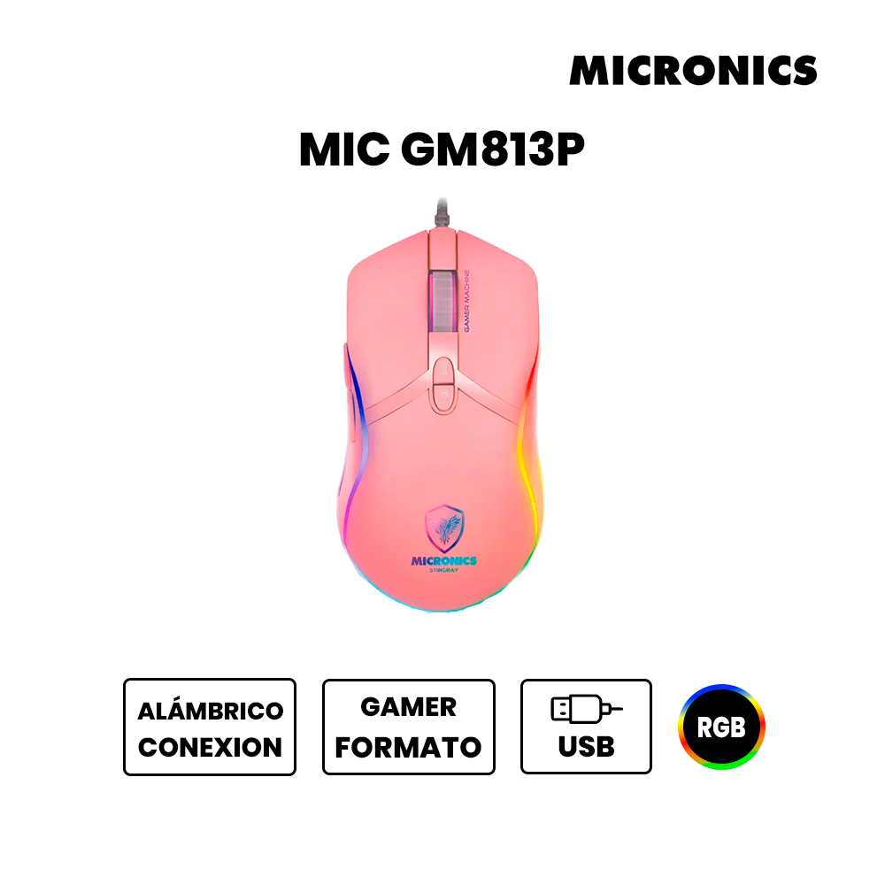 MIC GM813P