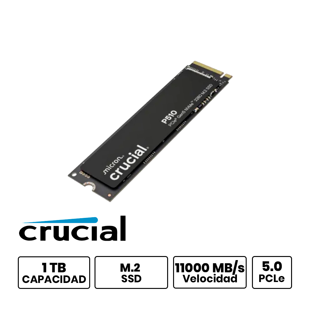CT1000P510SSD8-01