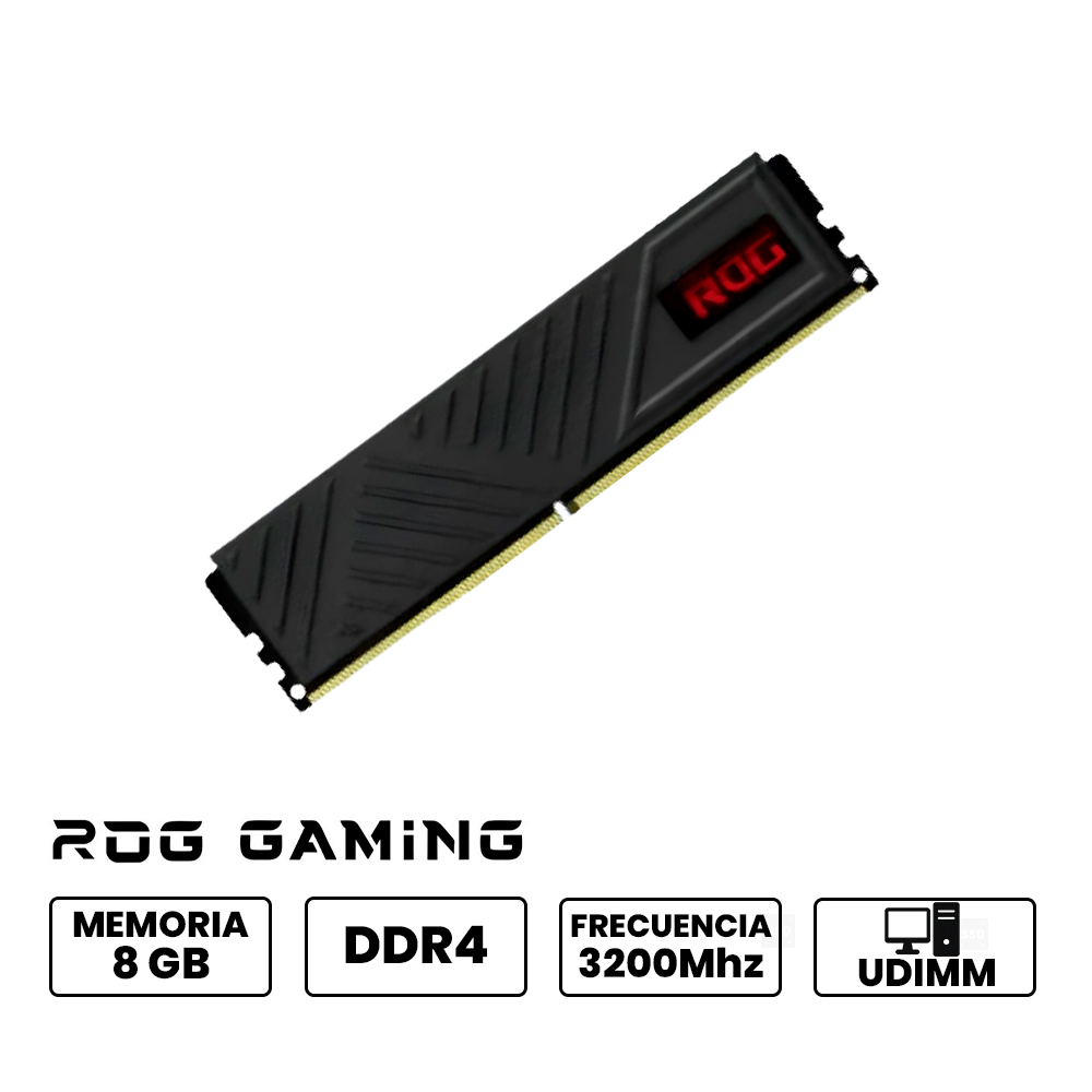 RG24101268